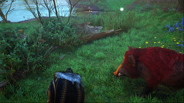 After the man goes to rest a bit, Lady Trotters will catch another lead - follow her - Assassins Creed Valhalla: The Boar with the Golden Nose - Essexe - Assassins Creed Valhalla Guide and Walkthrough