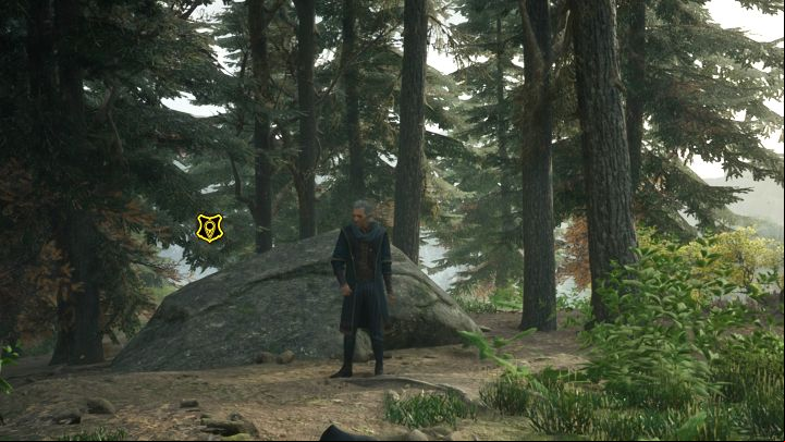 To be able to start this quest, your hero needs to be on level 11 - Hogwarts Legacy: Percival Rackhams Trial - Main quests - Hogwarts Legacy Guide