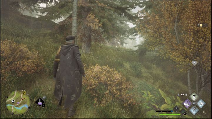 The only problematic group of insects to find is to the east of the Merlin Trial platform between two trees, so don't be afraid to go deeper into the forest to find them - Hogwarts Legacy: Hogwarts Valley - all Merlin Trials - Merlins Trials - Hogwarts Legacy Guide