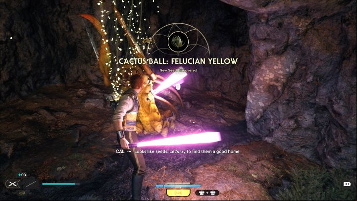 How to unlock: Find space for a full garden - Star Wars Jedi Survivor: Trophies / Achievements - list of all, trophy guide - Annex - Star Wars Jedi Survivor guide