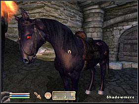 1 - Oblivion: All Horses - Basics - The Elder Scrolls IV: Oblivion Game Guide & Walkthrough