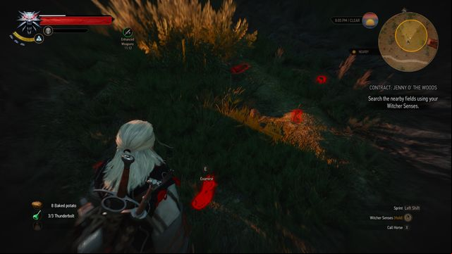 Follow the trail and investigate all clues. - The Witcher 3 Wild Hunt: Witcher contracts, Crows Perch - list, walkthrough - Crows Perch - The Witcher 3 Wild Hunt Guide