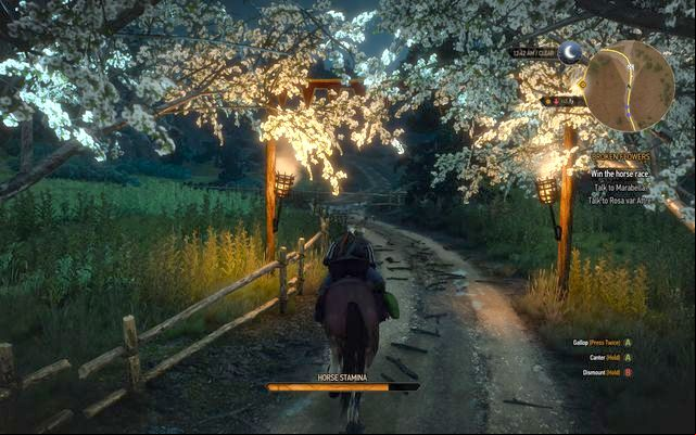 During the quest you can participate in a race outside the city - The Witcher 3 Wild Hunt: Broken Flowers - walkthrough - Free City of Novigrad - The Witcher 3 Wild Hunt Guide